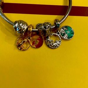 Pandora Bracelet with charms